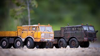 RC  112 Tatra 813 Crossrc DC8 8x8 Offroad Driving [upl. by Madeline272]