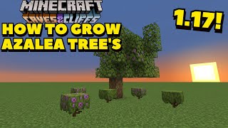 How to Grow Azalea Trees in Minecraft  Minecraft 117 Tutorials [upl. by Kendy]