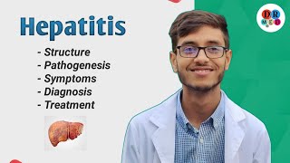 Hepatitis A B C D E Virus  Diagnosis  Virology  Microbiology bangla lecture [upl. by Assina]