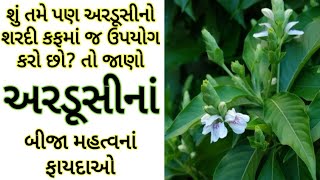 અરડૂસીનાં ફાયદા Ardushi na Fayda Benefits of Jasticia Adhatoda Vasaka ke fayde Malabar nut [upl. by Truc400]