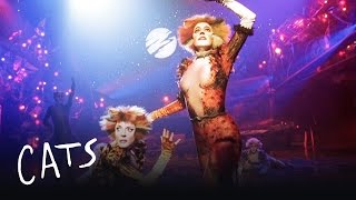 Macavity the Mystery Cat Part 2  Cats the Musical [upl. by Groark]