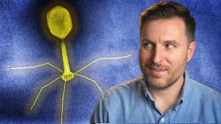 The History of Phage Therapy [upl. by Farver]