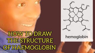 How to easily draw the structure of Haemoglobin [upl. by Annauqal]