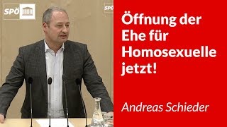 Öffnung der Ehe für Homosexuelle jetzt  Andreas Schieder [upl. by Stinson]