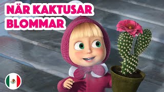 Mashas Sånger 🎇 Nytt Avsnitt 2024 🎇 🇲🇽 När kaktusar blommar 🪇 Avsnitt 8 [upl. by Aerdied]