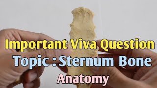 Important Viva Question  Topic  Sternum Bone  Anatomy [upl. by Reggis]