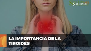 ✅ Entendiendo la función y los desórdenes de la GLÁNDULA TIROIDES  Salud180 🌿 [upl. by Inajna399]