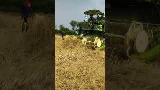 Combine harvester sort vairal sortvideo sonusahu55 farmer farming [upl. by Suellen]