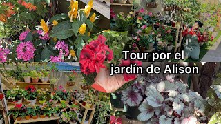 Me contrataron para organizar este bello jardín así lo dejé ♥️👌🪴videos [upl. by Rodie]