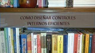 Cómo Diseñar Controles Internos Eficientes [upl. by Duwalt]