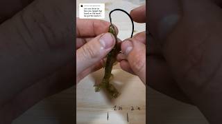 How to Rig the 6in Zoom Lizard bassfishing lure diyfishinglures fishing diylure fishingtips [upl. by Venus]