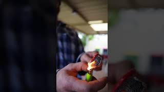 citrus peel fire lighter firelighters garden diy citrus fire lighter gardenhacks backyard [upl. by Castle800]