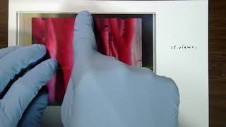 Tutorial How to easily make a 3d lenticular print if all you have is a stereo pair [upl. by Nurat]