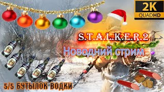 STALKER 2 делаем новую шапку новогоднюю для стрима [upl. by Airahs]