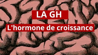 Endo03 LHormone de croissance GH [upl. by Annabell159]