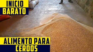 Como Preparar Alimento de Inicio de Engorda Para Cerdos [upl. by Diver181]