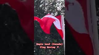 Maple Leaf Canada Canadian Flag Waving 🇨🇦 [upl. by Atiekram]