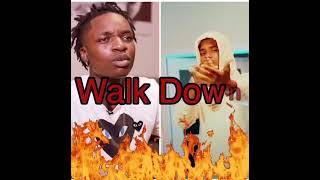 BigKayBeezy  Walk Down Feat Pooh Shiesty Bass Boosted [upl. by Chenee755]