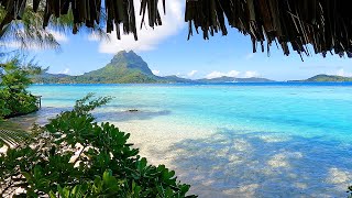 Beach View 3 Hours of Bora Bora Ambience amp Soft Ocean Sounds [upl. by Ambrosine136]