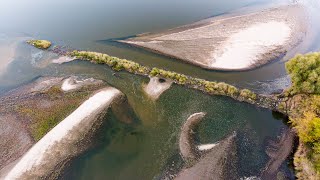 Dlaczego należy rozbierać ostrogi brzegowe [upl. by Nele181]