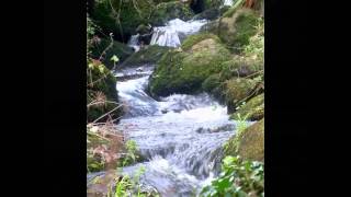 LAMORNA COVE [upl. by Bev]