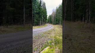 Zweden Sweden TET Trans European Trail BMW R125GSA [upl. by Novyart]