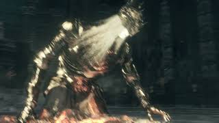 Dark Souls 3  Lothric Younger Prince amp Lorian Elder Prince Boss Fight [upl. by Birdt]