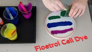 Floetrol Cell Dye MVP Fission Tesla  Arctic Kats Disc Golf [upl. by Kalk]