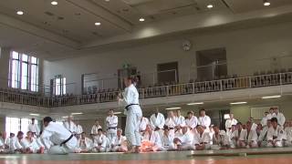 GOSHIN JUTSU KODOKAN 2014 15 CAROLE MATHIEU [upl. by Amathiste]