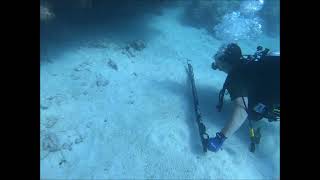 Teric Scott go Spear Fishing out by Looe Key Reef [upl. by Gaillard336]