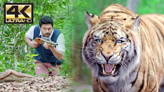 Tiger Hunt  Mirugaa  Raai Laxmi Dev Gill  4K English Subtitles [upl. by Thurman]