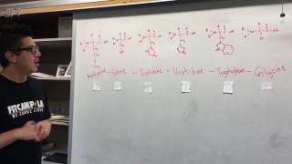 Protein structure  Primary  Secondary  Tertiary  Quaternary [upl. by Neelyak]