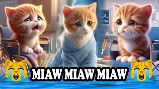 Miaw miaw miaw miaw song sad tiktok 2024 [upl. by Kcirrad]