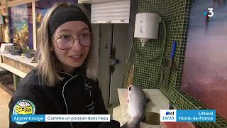 Elle voulait être pâtissière elle devient la meilleure apprentie poissonnier de France [upl. by Hyacintha]