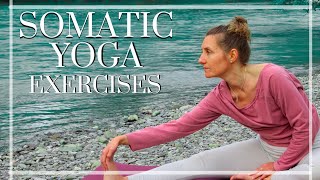 25 Minute Beginner Friendly Somatic Yoga Exercises  A Journey of Selfdiscovery [upl. by Anrapa]