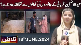 Talaash With Iqra Malik  18 June 2024  Lahore Rang  J31S [upl. by Venator]