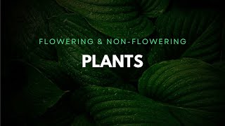 Flowering and NonFlowering Plants [upl. by Areta]