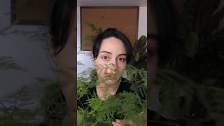 How to care for Asparagus Fern 🪴 Fast Plant Guide [upl. by Anoblav]