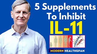 5 Supplements To Inhibit IL11 [upl. by Tnahsarp505]