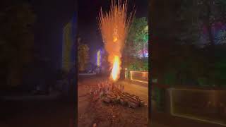 Biggest bumble bee sky shots diwalifirework diwalirecipes diwali viralvideo [upl. by Ford]