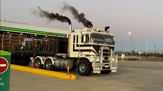 1984 Kenworth K100 with a 8V92 Detroit Diesel [upl. by Tallie]