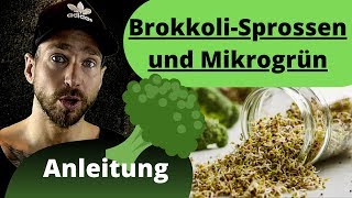 BrokkoliSprossen und Mikrogrün ziehen Anleitung die gesündesten Sprossen [upl. by Nico]