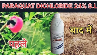 PARAQUAT DICHLORIDE 24 SLGROMOXONE HERBICIDEपैराक्वाटHimalyan chemical amp Pesticideagrostar [upl. by Emelin]