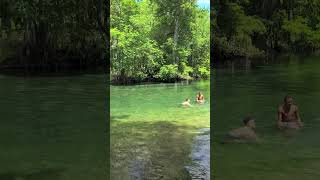 Ichetucknee Springs in Florida [upl. by Qirat740]