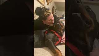 Rottweiler says I love you rottie rumble [upl. by Irma]