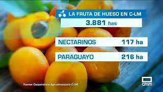 EL CAMPO  El moniquí recupera precio en una campaña mala  030718 [upl. by Redvers]