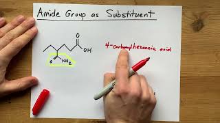 Naming Amides as Substituents on Organic Molecules [upl. by Edi34]