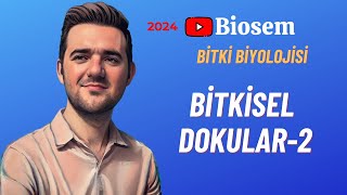 Bitki Biyolojisi  Bitkisel Dokular2 Konu Anlatımı 12 Sınıf Biyoloji [upl. by Zacharias]