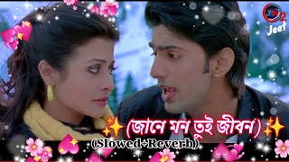 ✨Jane Mon জানে মন তুই জীবন✨🎧 Lofi SlowedReverb New Bengali songs l paglu  Dev  Koel [upl. by Ahsekam]