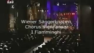 Stille Nacht Heilige Nacht  Vienna Boys Choir [upl. by Yalcrab813]